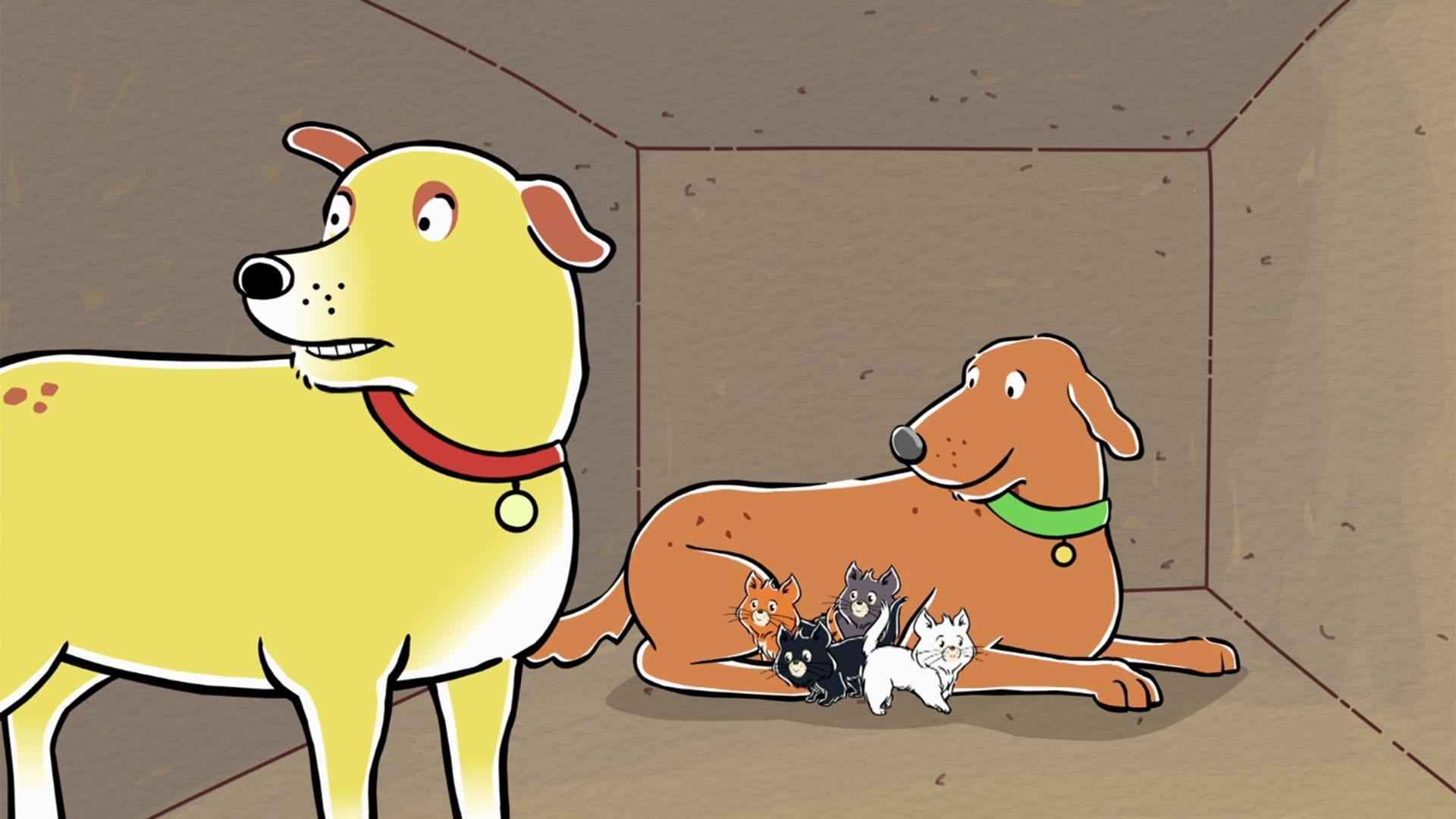 Martha and Skits try to find Mittens and help her kittens.