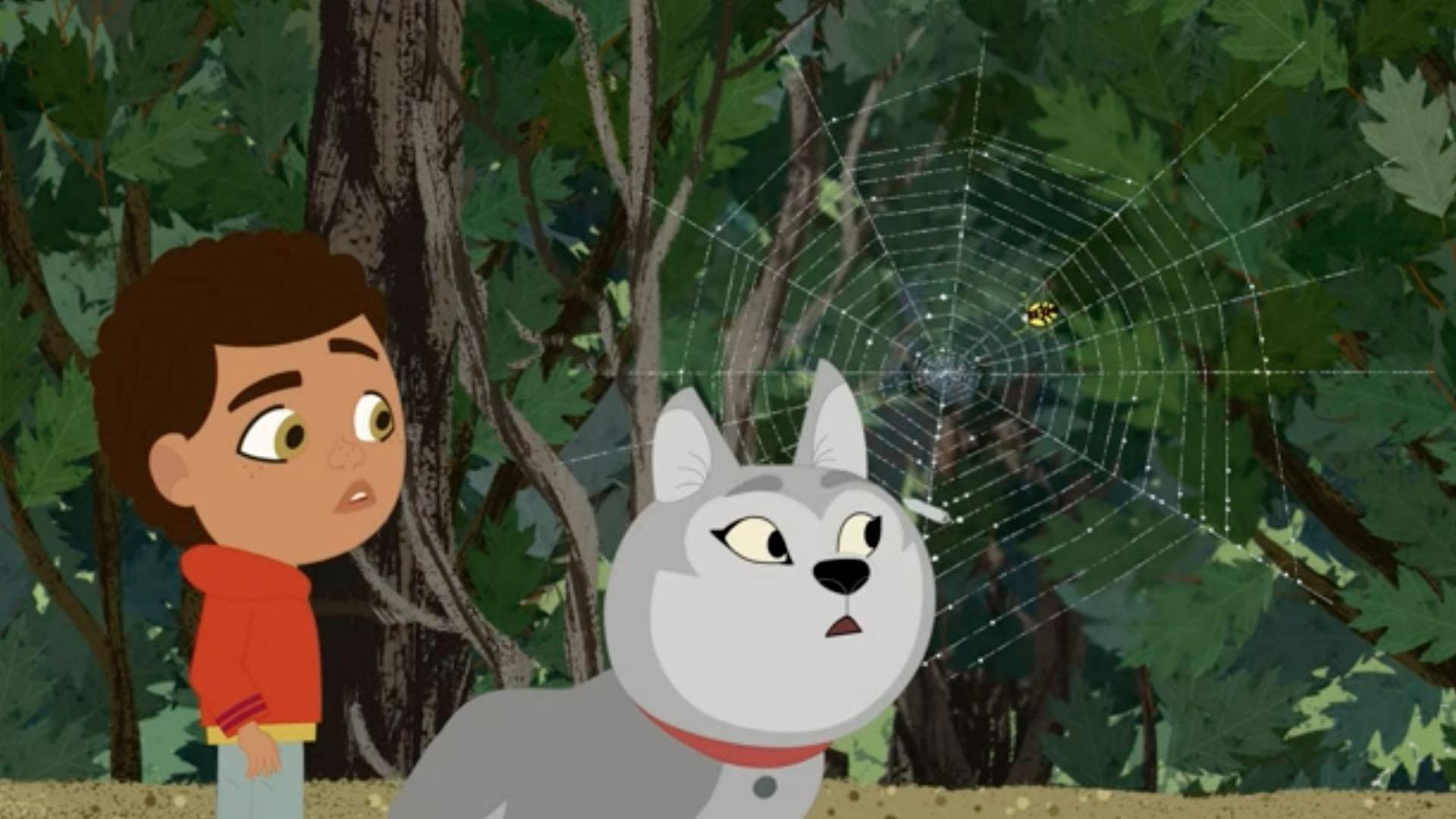 A discovery in the woods prompts the question: “Why do spiders spin webs?"
