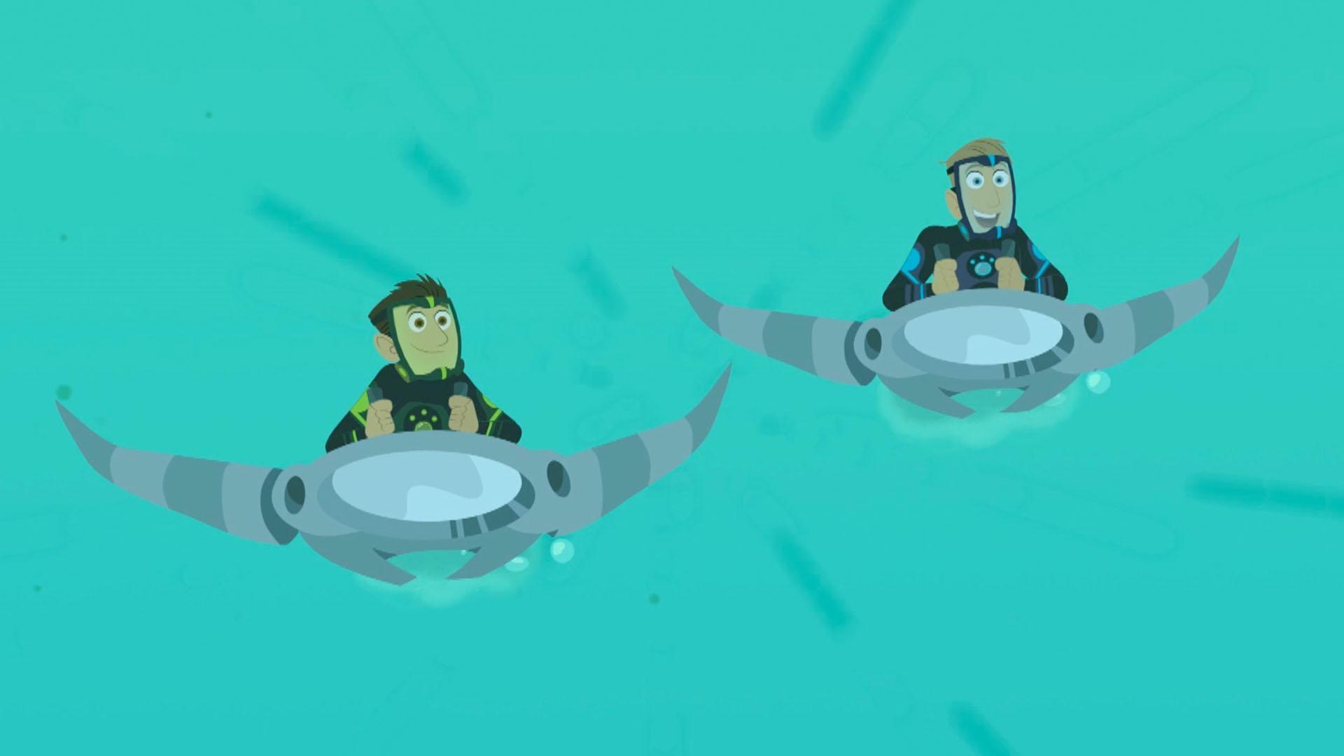 Martin and Chris are on a high speed ride as they check out a group of Sailfish.