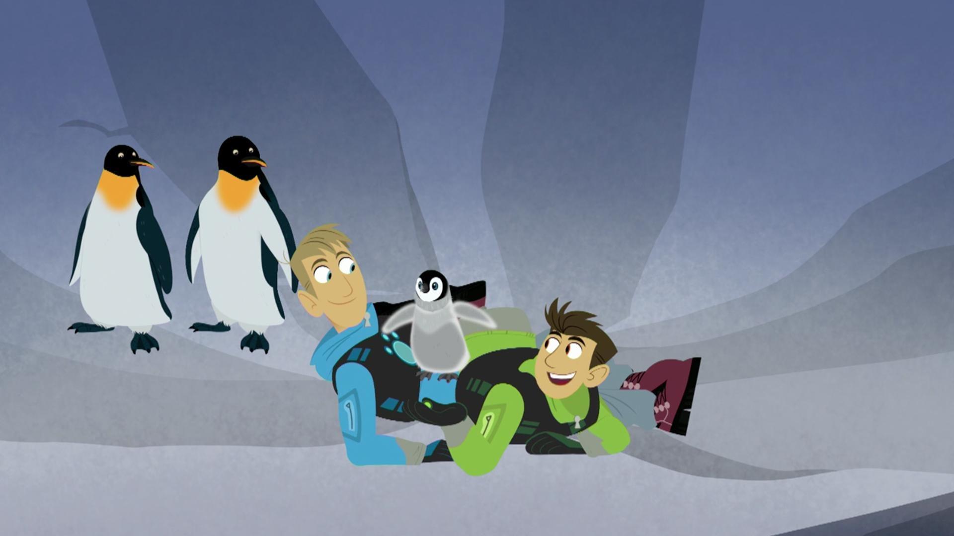 Wild Kratts - Full Episodes Video Collection | Videos | PBS KIDS