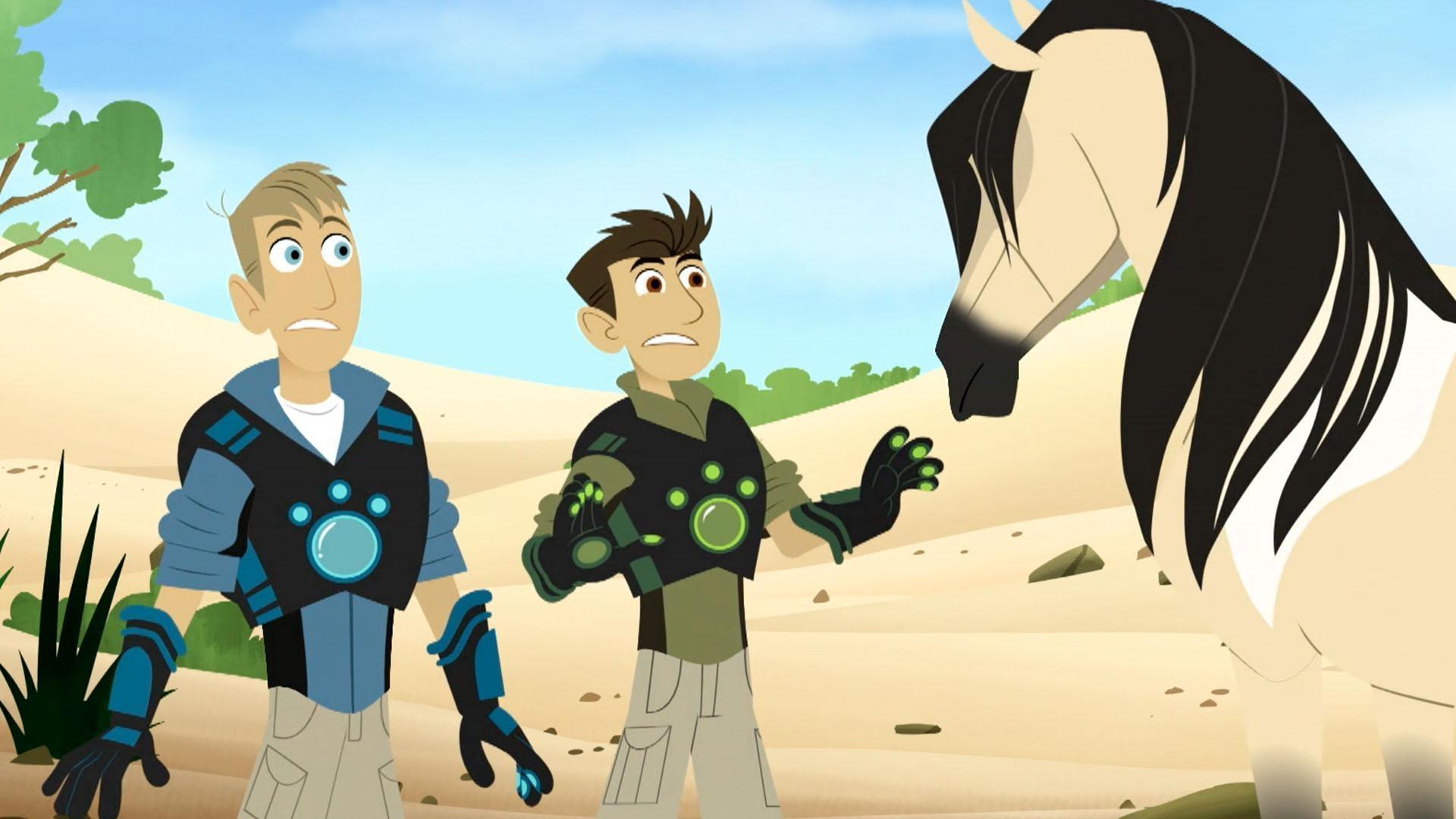 Martin, Chris, Aviva and Koki are on a creature adventure looking for wild ponies.