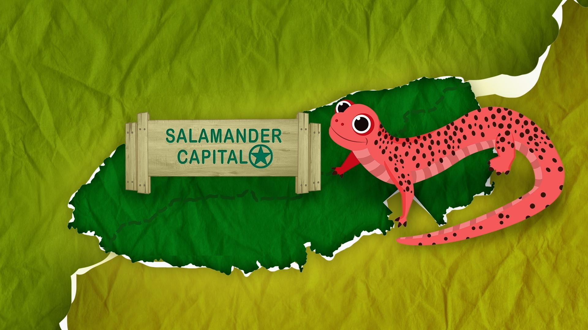 The Great Smoky Mountains contain the most species of salamanders in the world.