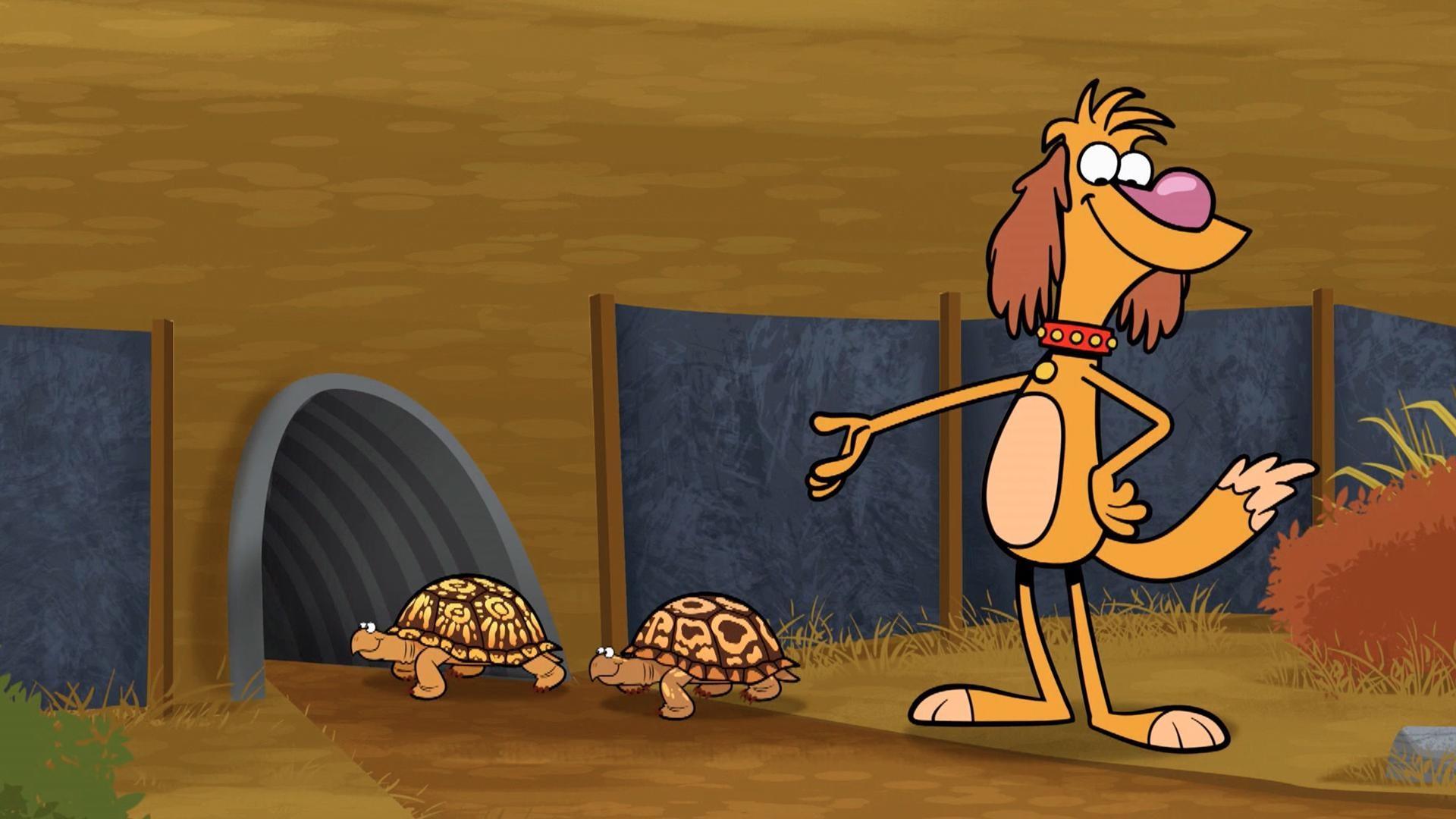 The gang builds a fence to help guide the turtles into the tunnel.