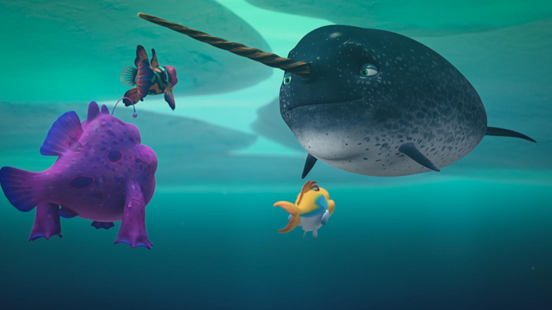 Gush discovers the mysterious narwhal. / Denny helps clean a great white shark's teeth.