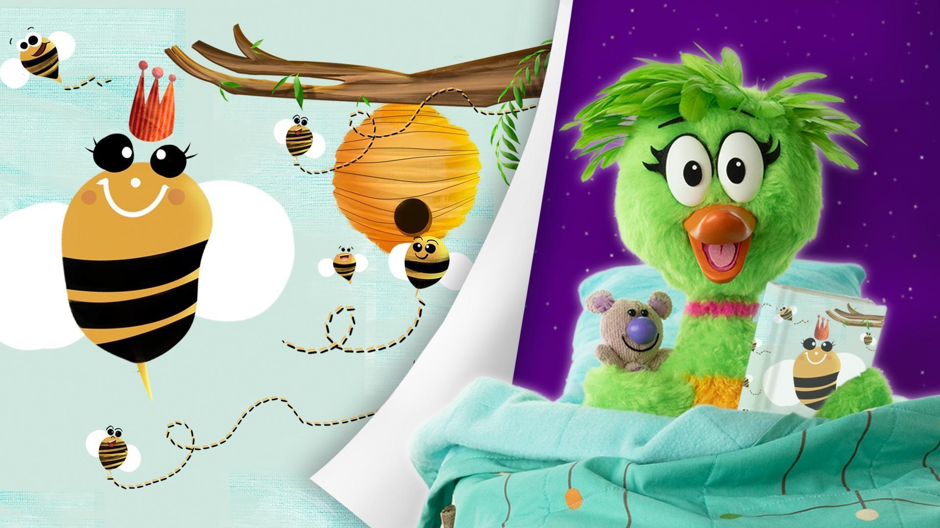 Duck Duck reads a story about many things that happen in nature in one tiny day.