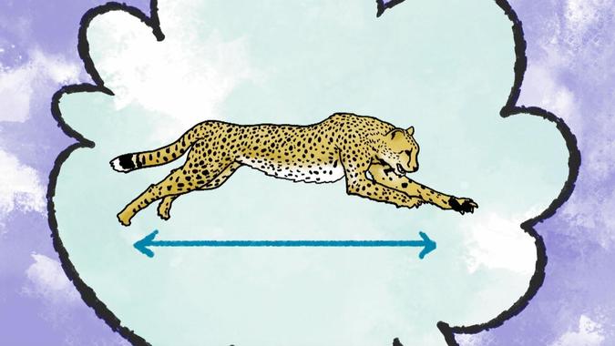 Elinor Wonders Why - That's So Interesting!: How Do Cheetahs Run So