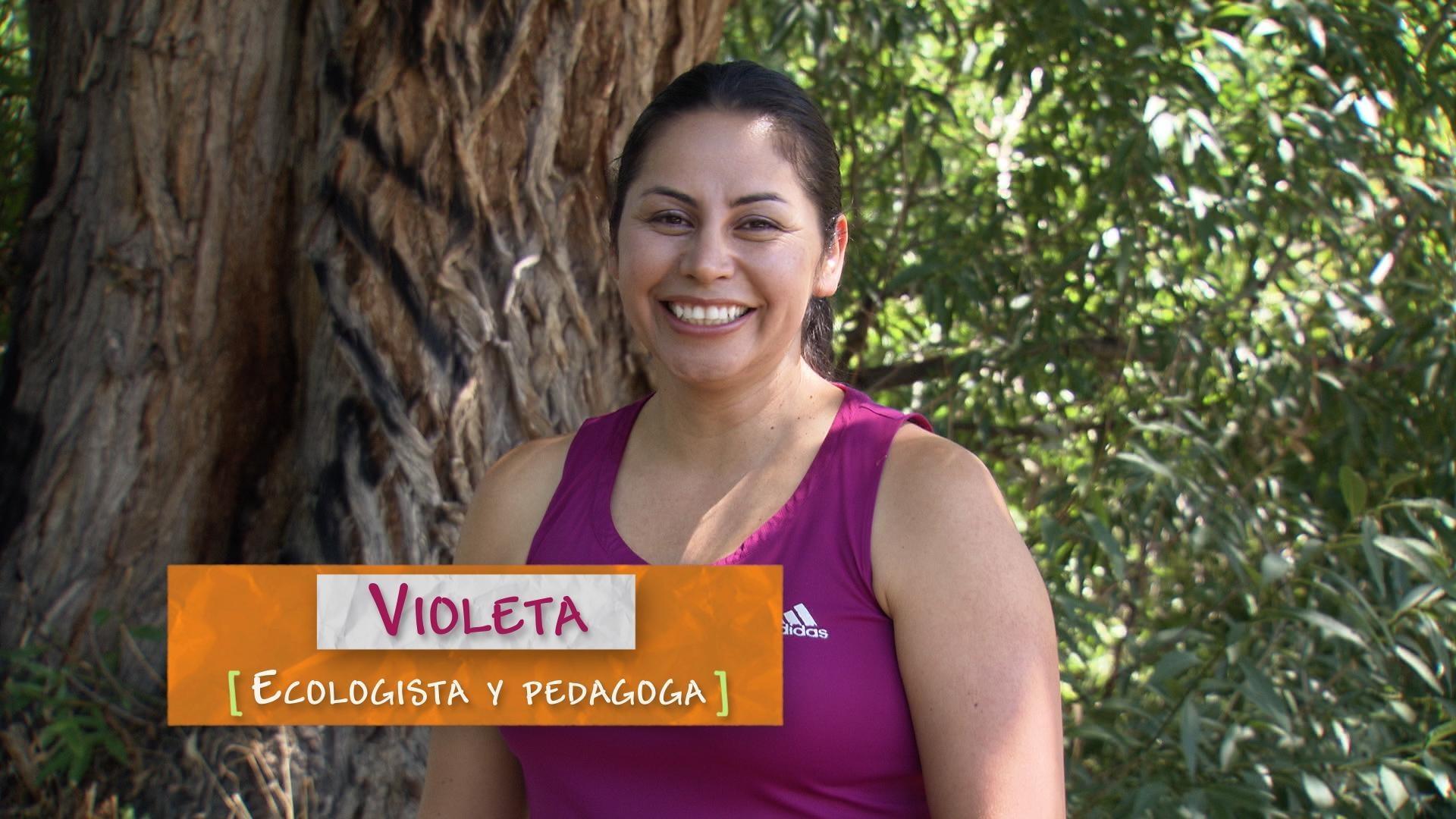 Dr. Violeta García uses engaging STEM learning experiences to advance diverse students.