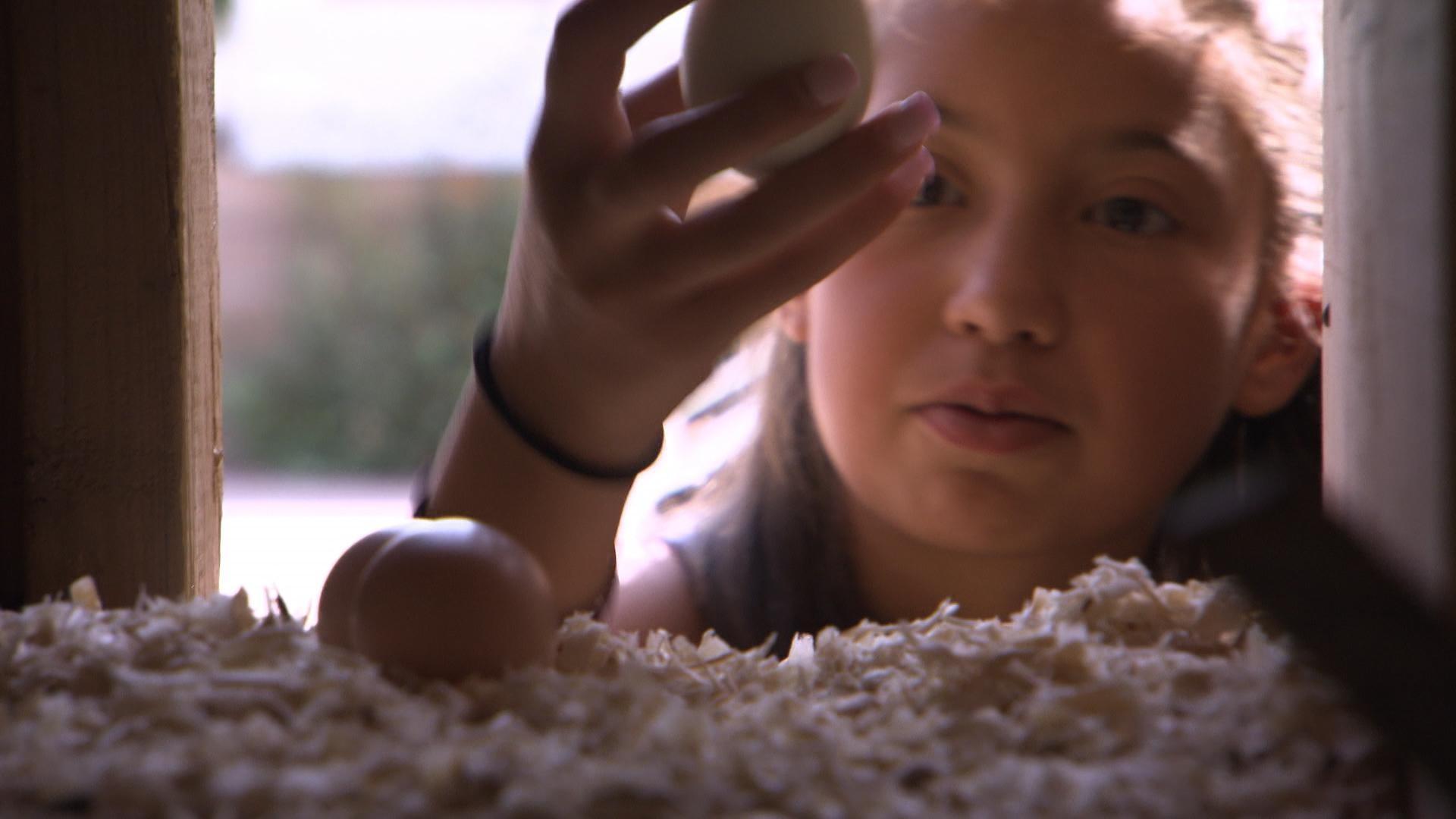 The SciGirls collect and share the first batch of eggs from their chicken coop.