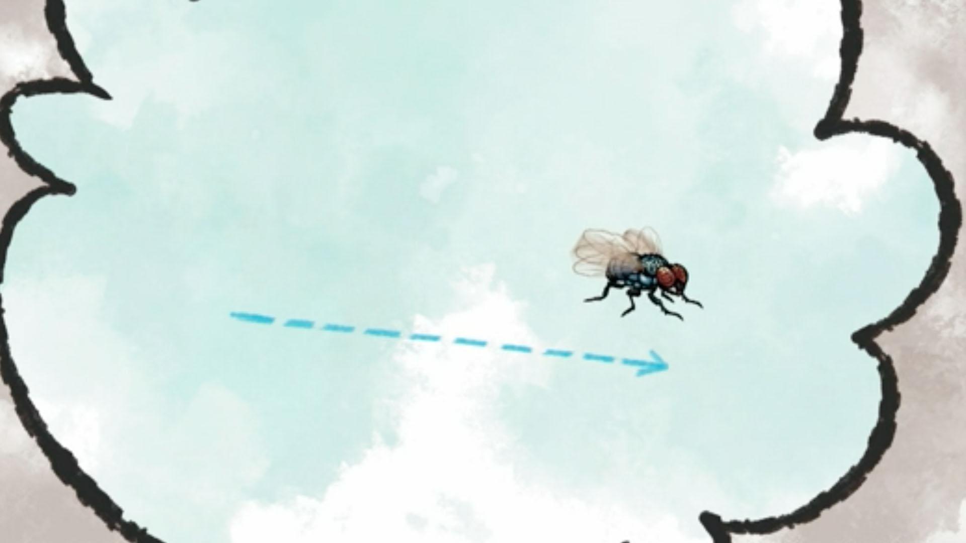 Jorge and Elinor learn about flies and how they can fly around without getting dizzy.