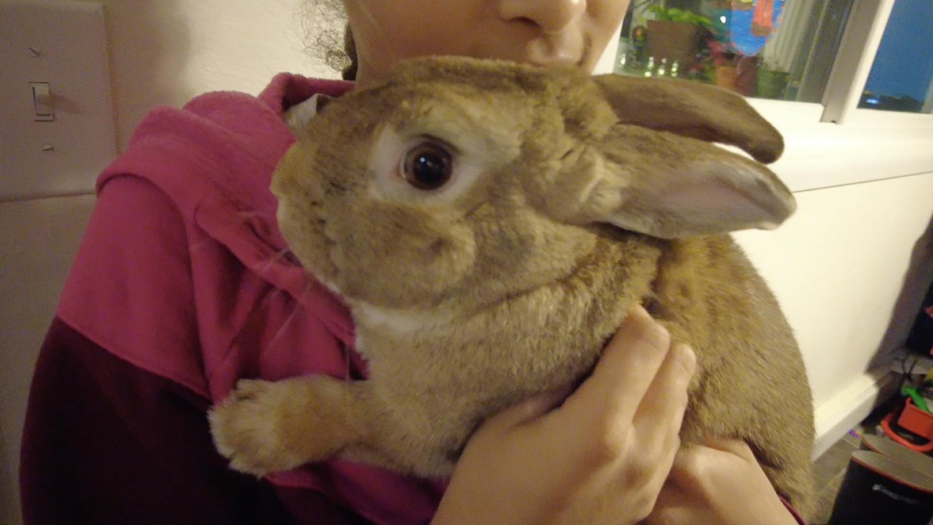 Meet Mia's many pets! Each has different needs – watch to see how Mia cares for them all.