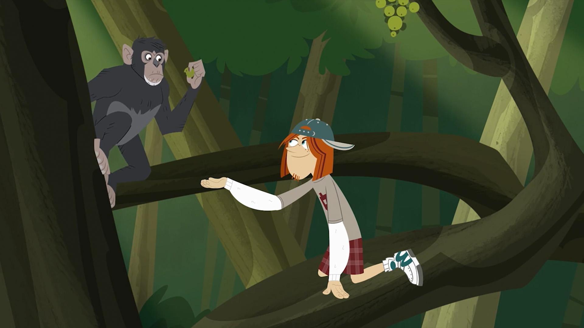 The team learn about Chimpanzee communication