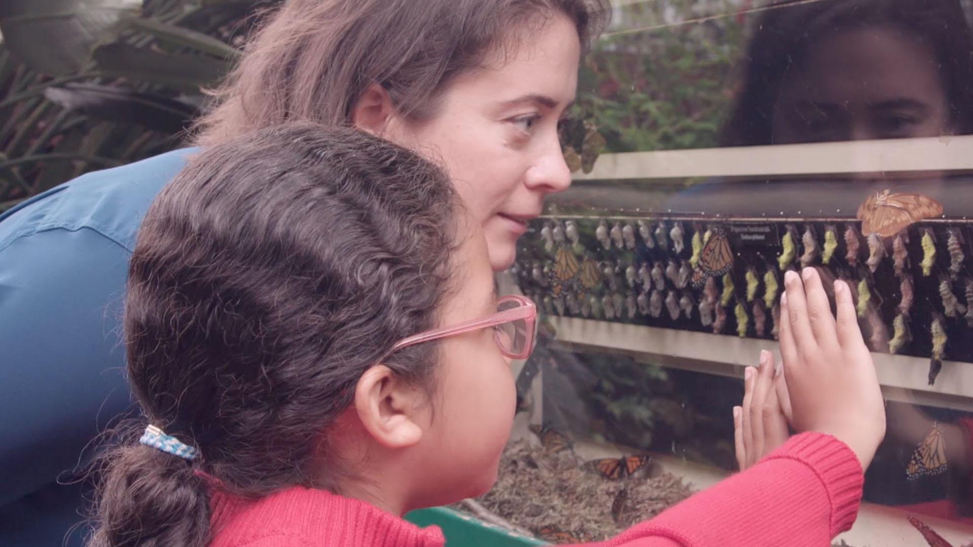 Real kid Camille visits a room with plants and flowers where lots of butterflies fly!
