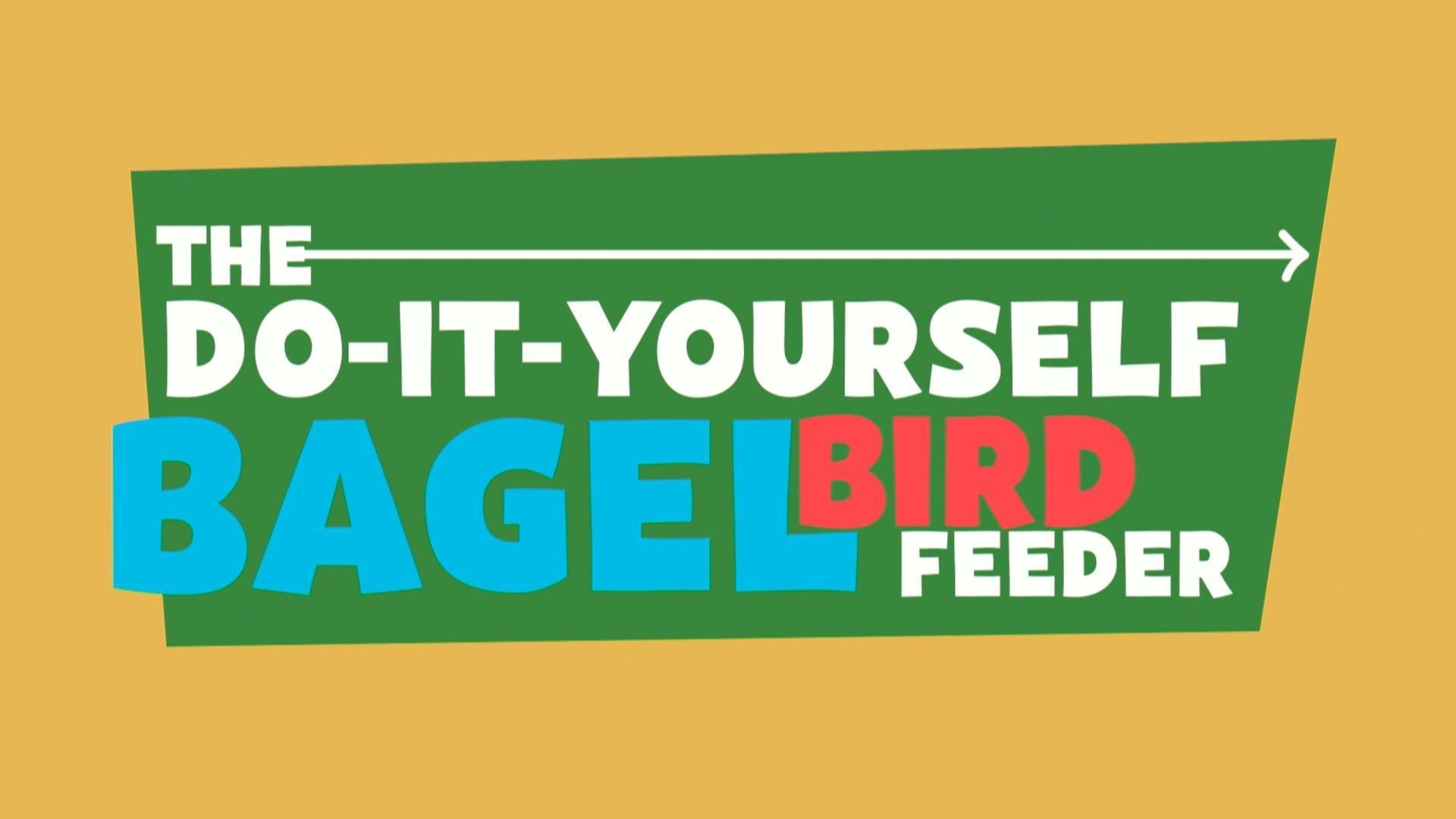 PBS KIDS challenges you to make your own bagel bird feeder.