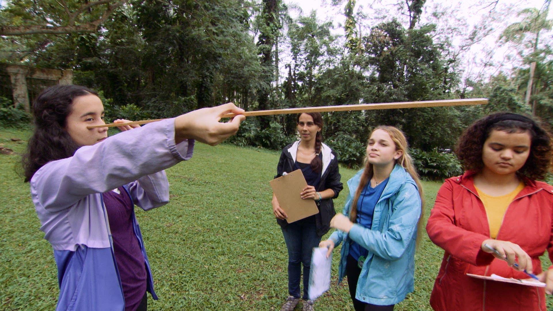 The SciGirls learn how to measure a tree's height and circumference.