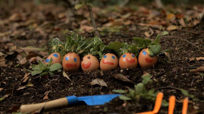 Sesame Street - G is for Garden Video | PBS KIDS
