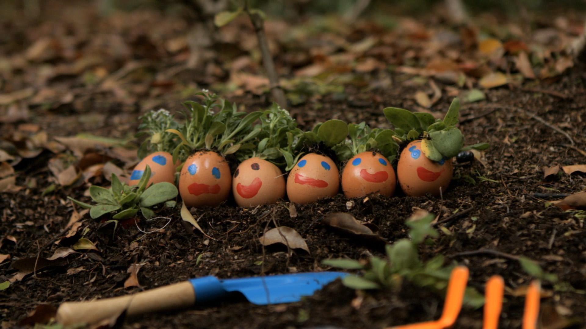 G is for Garden. What plants can you grow in a garden?