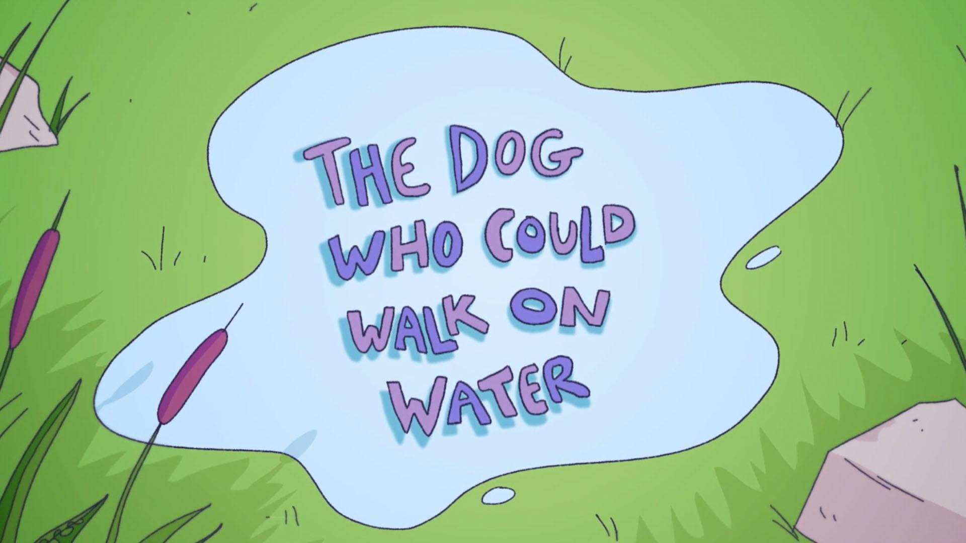 A folktale about two friends who argue over whose dog is best.