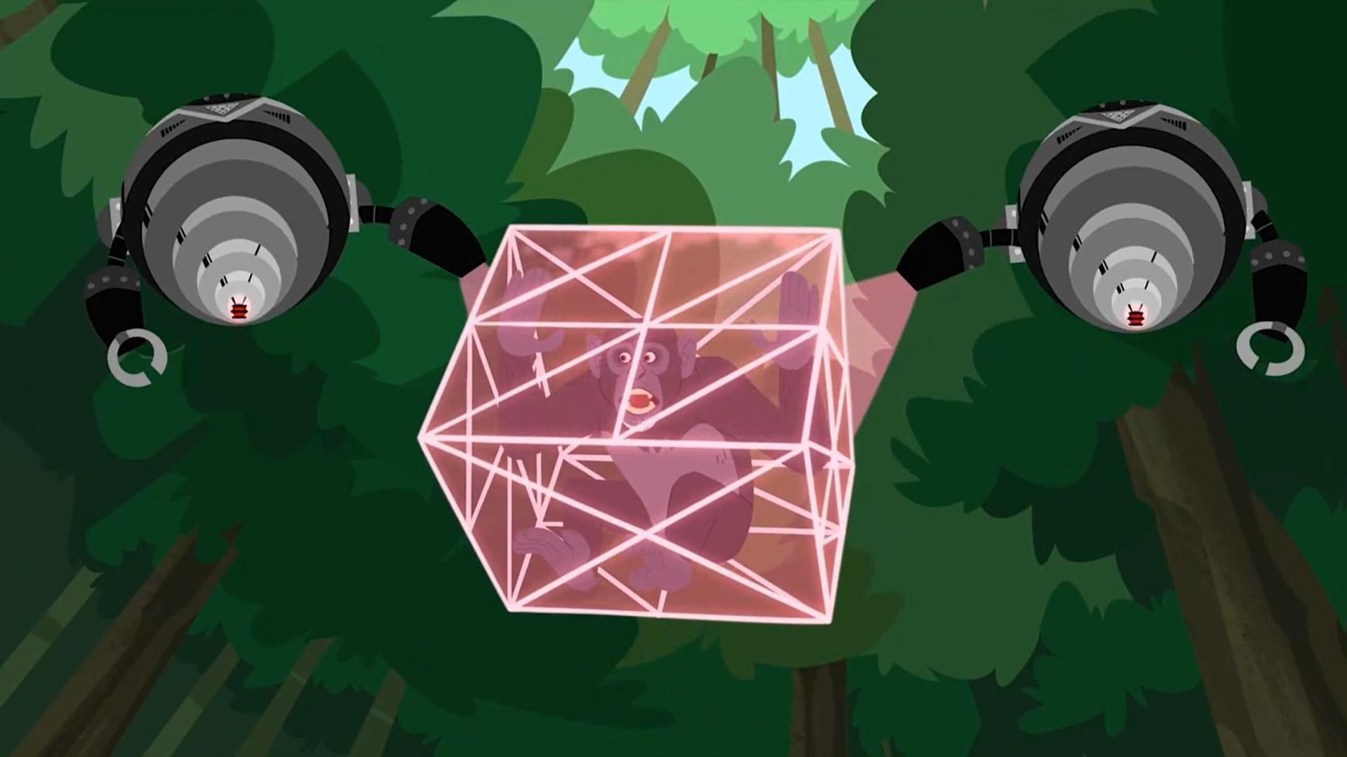 The chimps yell a danger call.