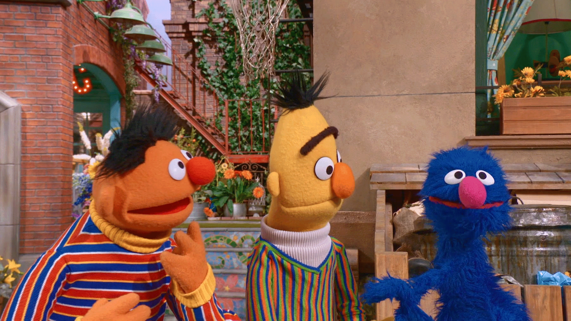 Bert and Ernie discover all different kinds of opposites on Sesame Street!