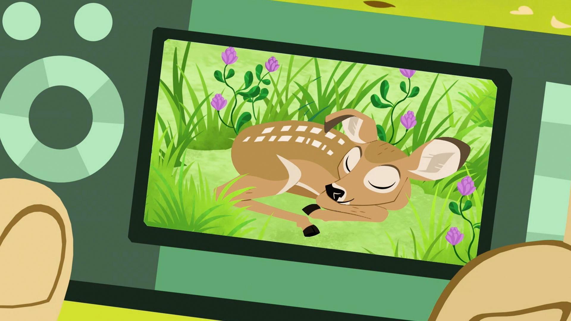 The bros head-out on a creature adventure in search of their long lost friend.