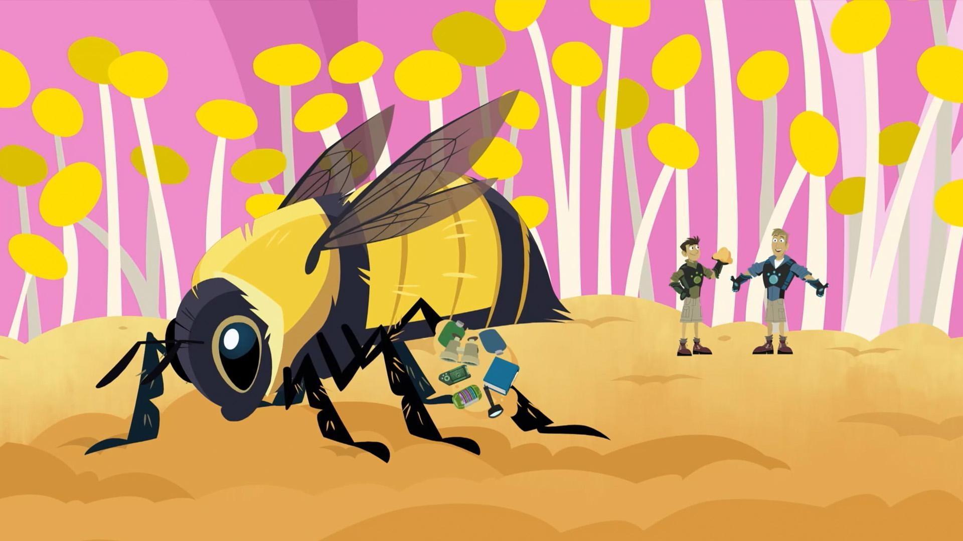 The brothers learn cool creature facts on the bumblebee.