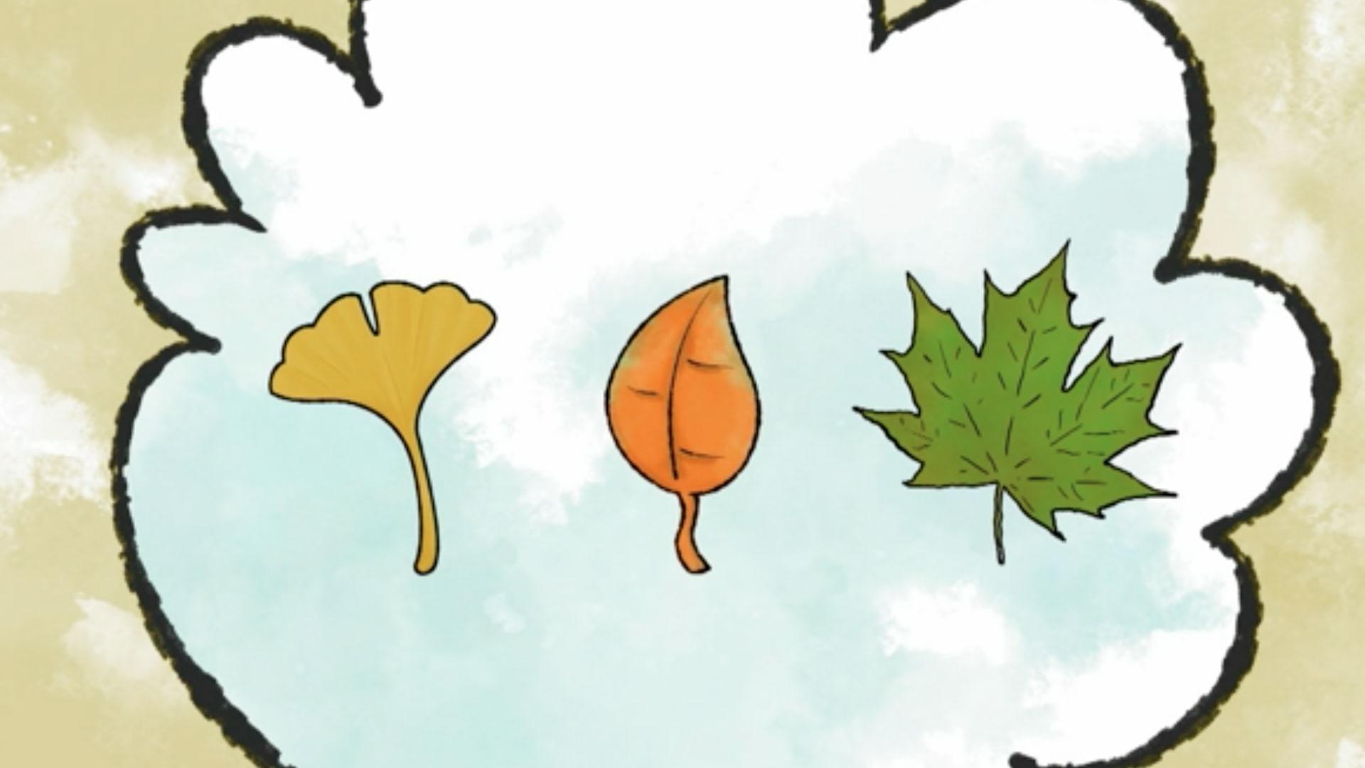 Jorge and Elinor look at leaves and find out why some of them change color in the Fall.