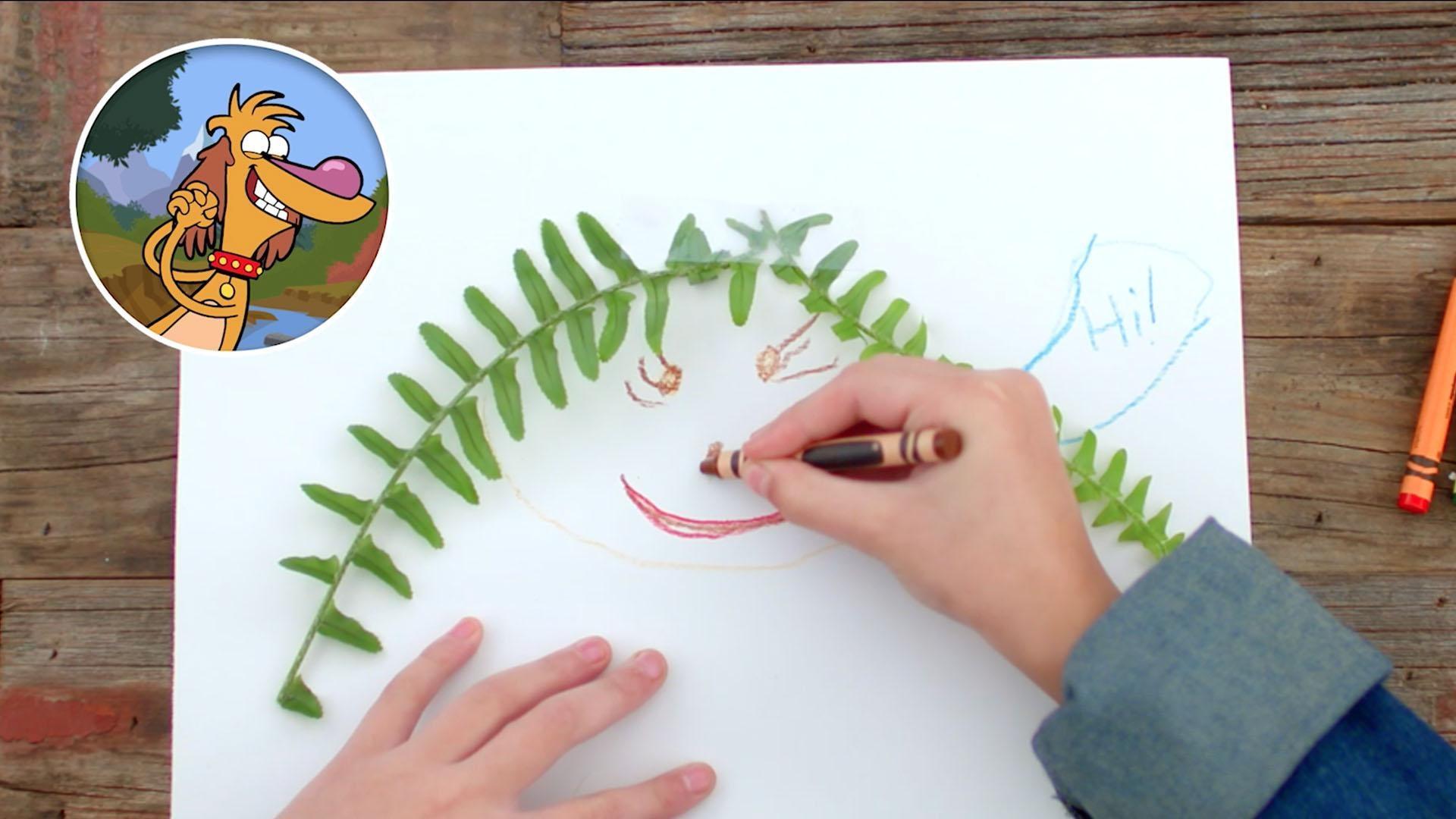 Nature Cat DIY Video Collection Videos PBS KIDS