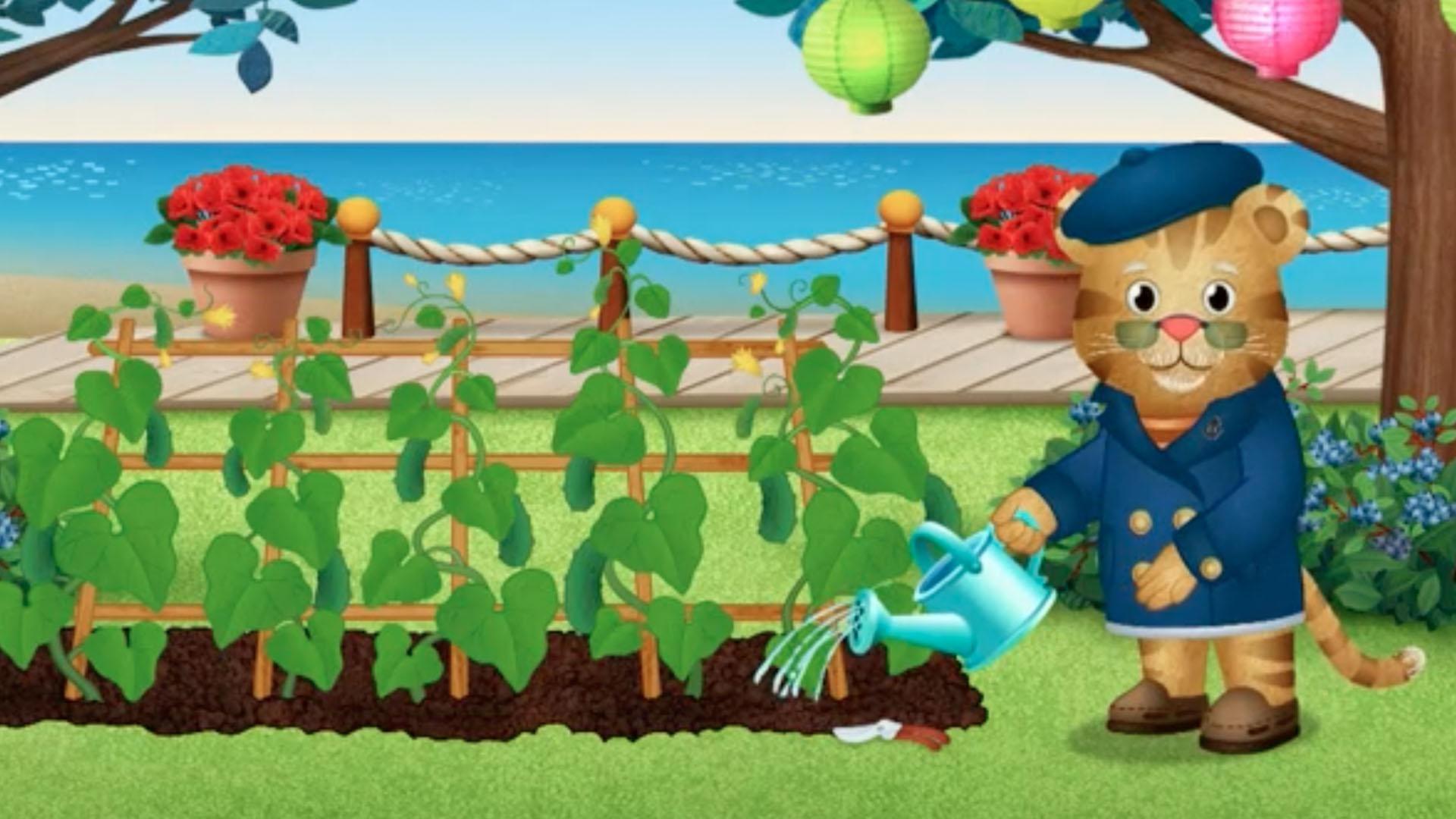 Grandpere takes us to his cucumber garden and shows how he makes pickles.