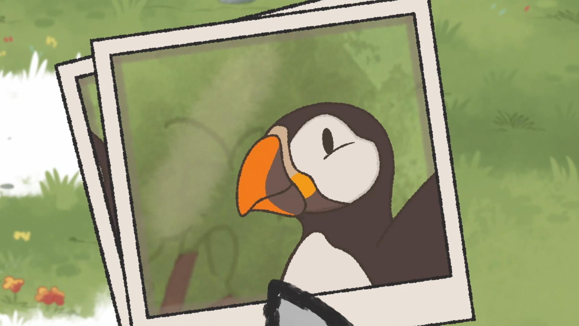 The kids use the photos Olive has taken of a mysterious bird to try and identify it.