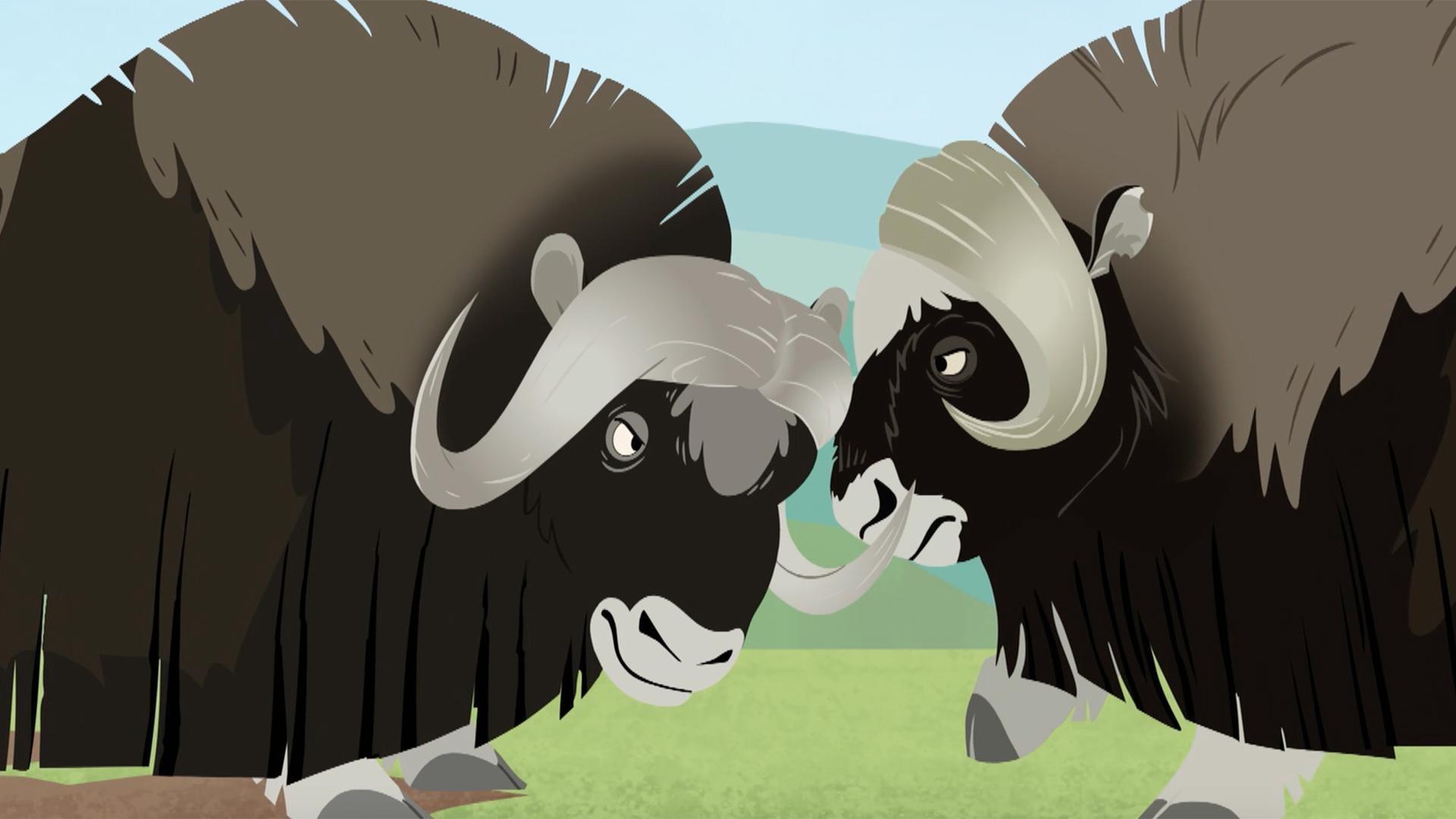 Chris and Martin must travel to the Arctic to find a Creature souvenir collection.