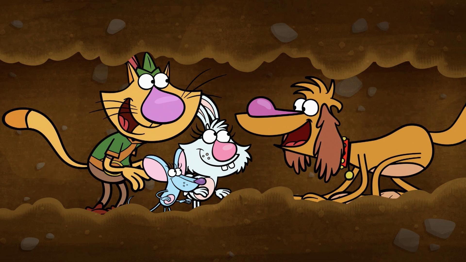 Nature Cat and his pals build a tunnel to help turtles safely cross the road.
