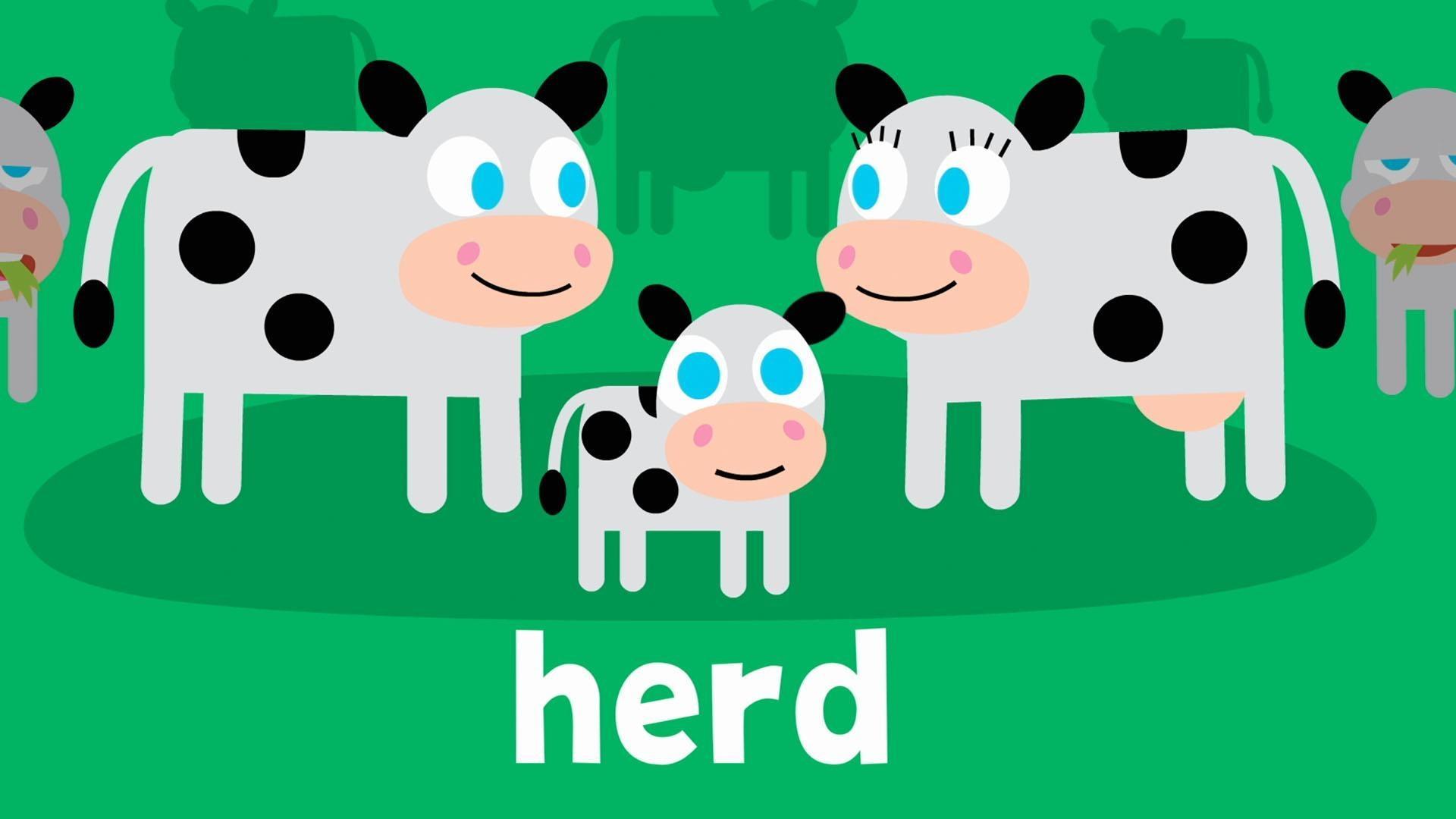 The word of the week is "herd"!