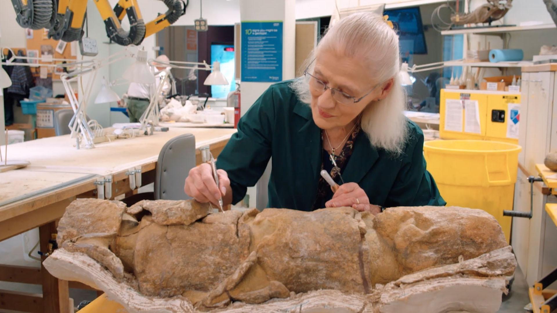 Dr. Scott teaches kids about fossils.