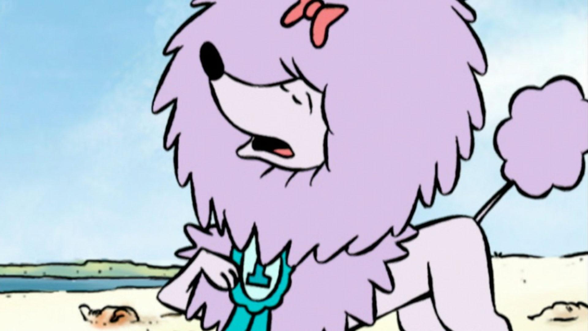 Cleo wins "Fluffiest Dog". / The soccer season has begun.