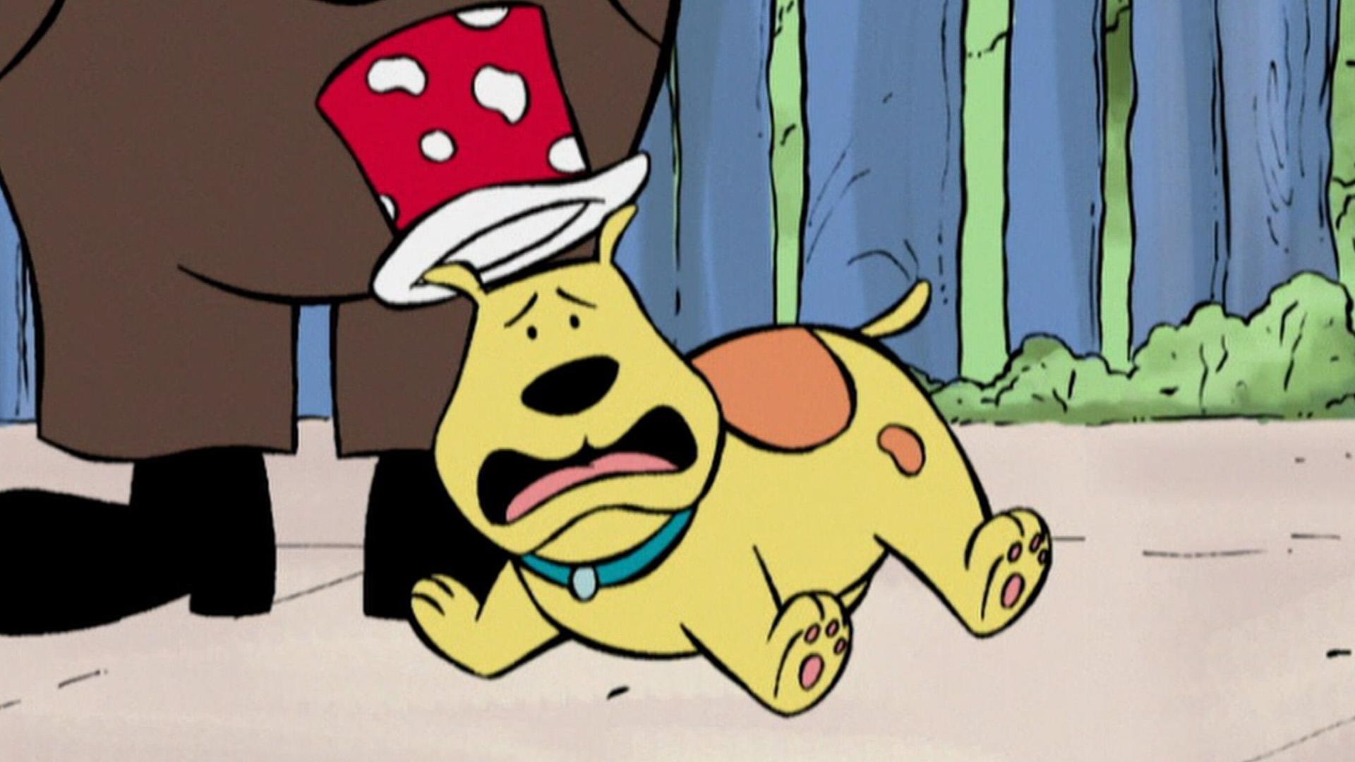 Where has everyone on the island gone today? / T-Bone is not looking forward to fireworks.