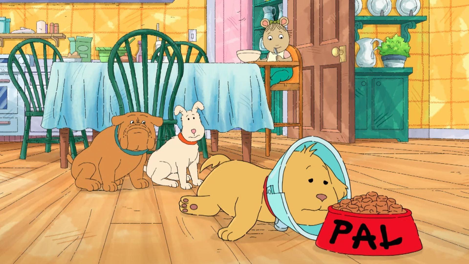 Pal is forced to endure the greatest hardship a dog can bear: THE CONE.