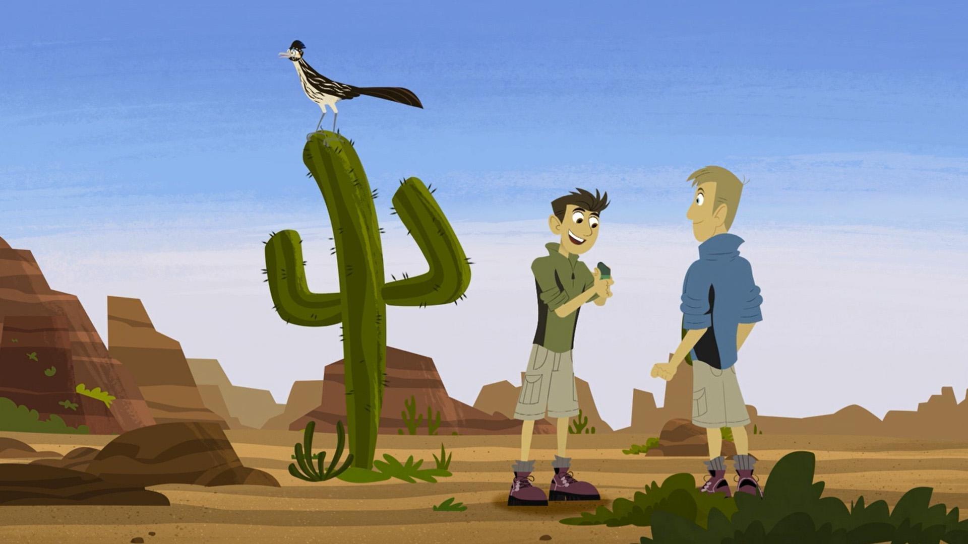 Martin and Chris stumble upon a roadrunner.