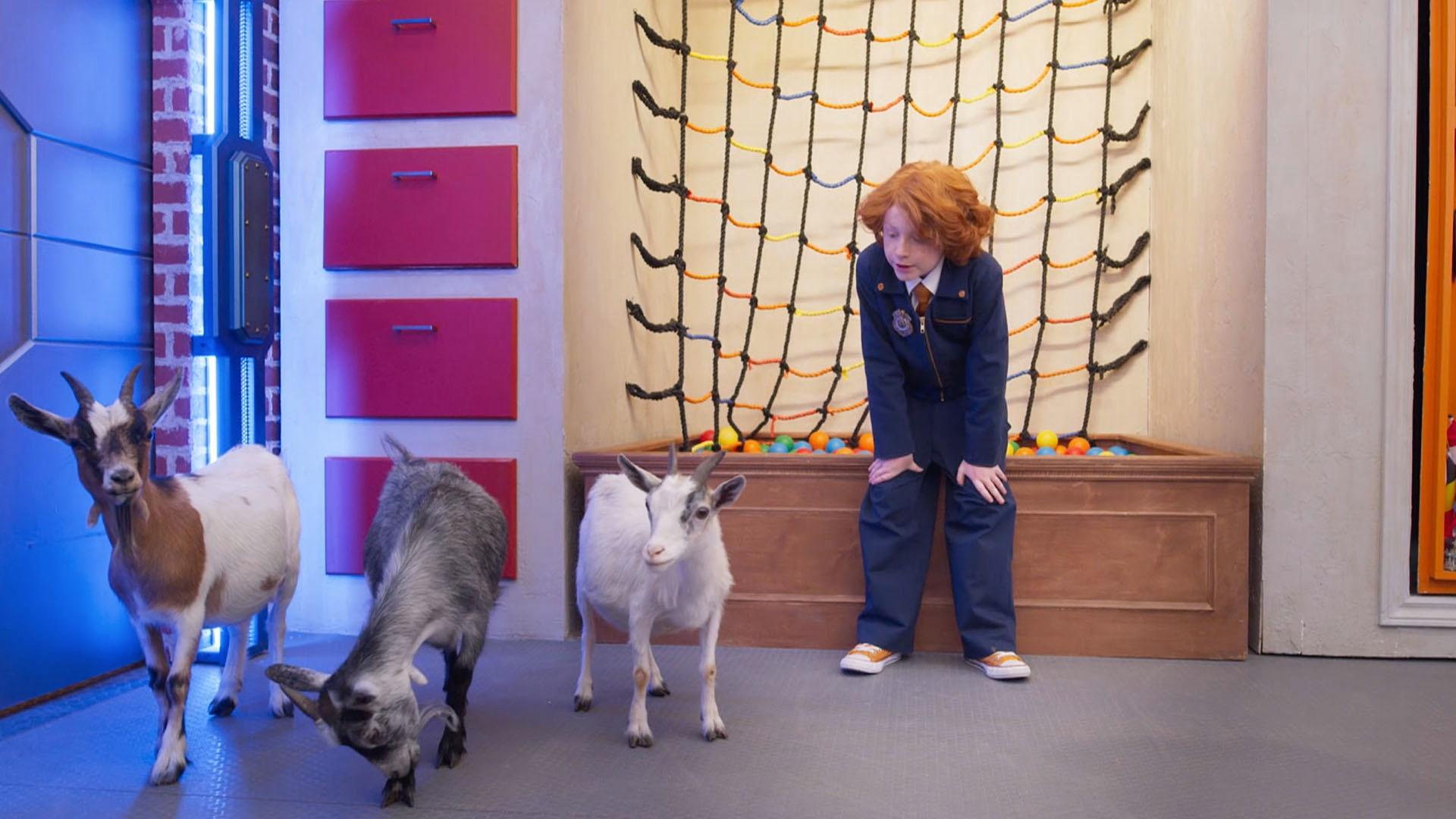 Opal, Omar, and Orla have been turned into baby goats.