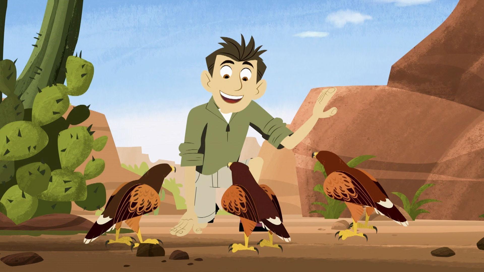 While hiking in the Sonoran Desert, Martin comes across a "wolf hawk."