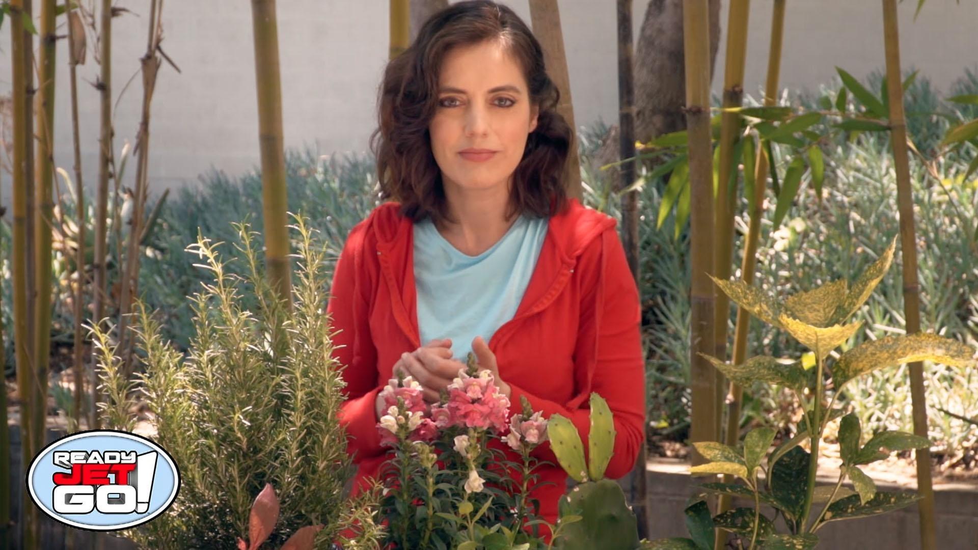 Astronomer Amy Mainzer talks all about plants.
