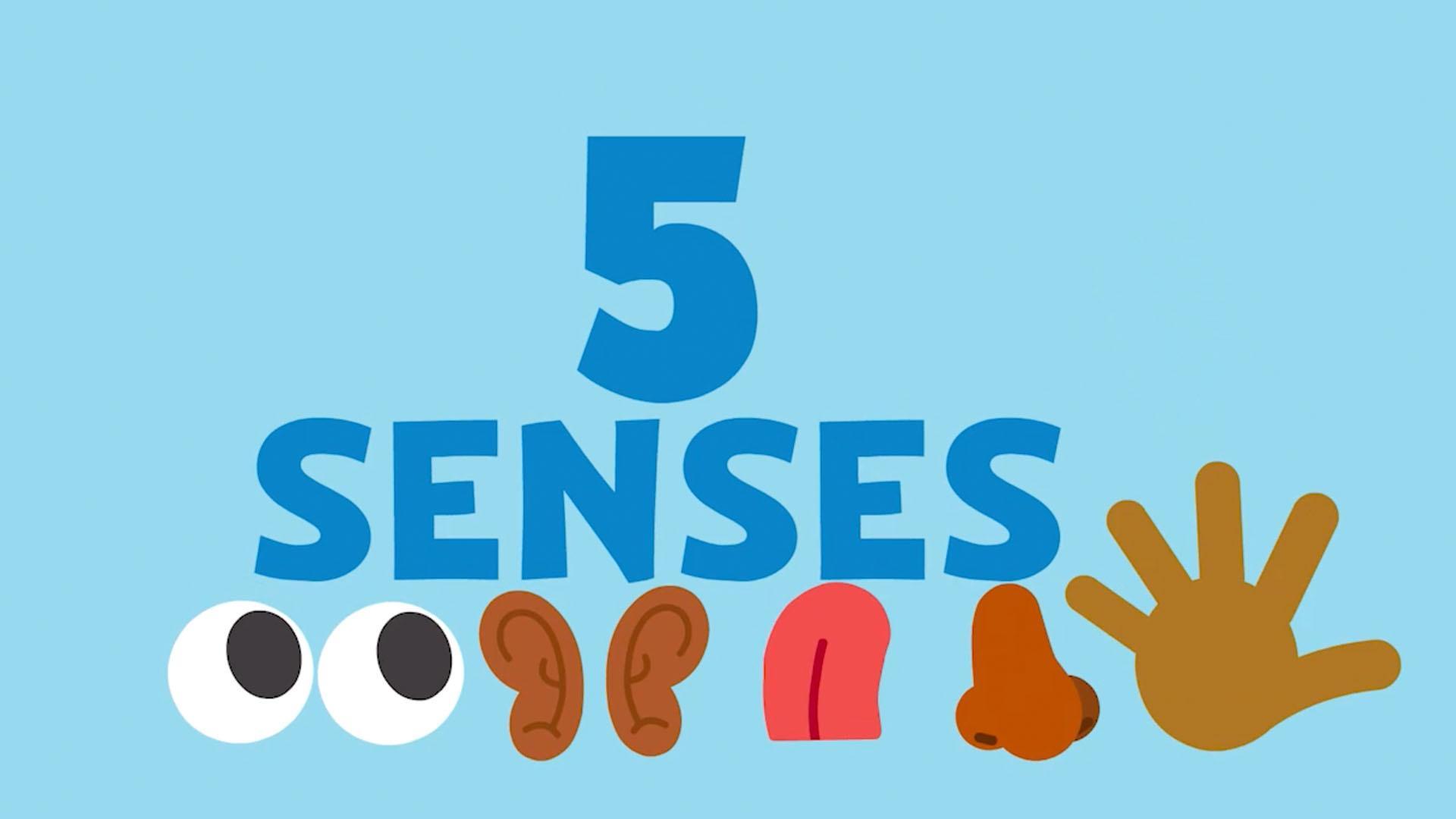 PBS KIDS ROCKS: 5 Senses