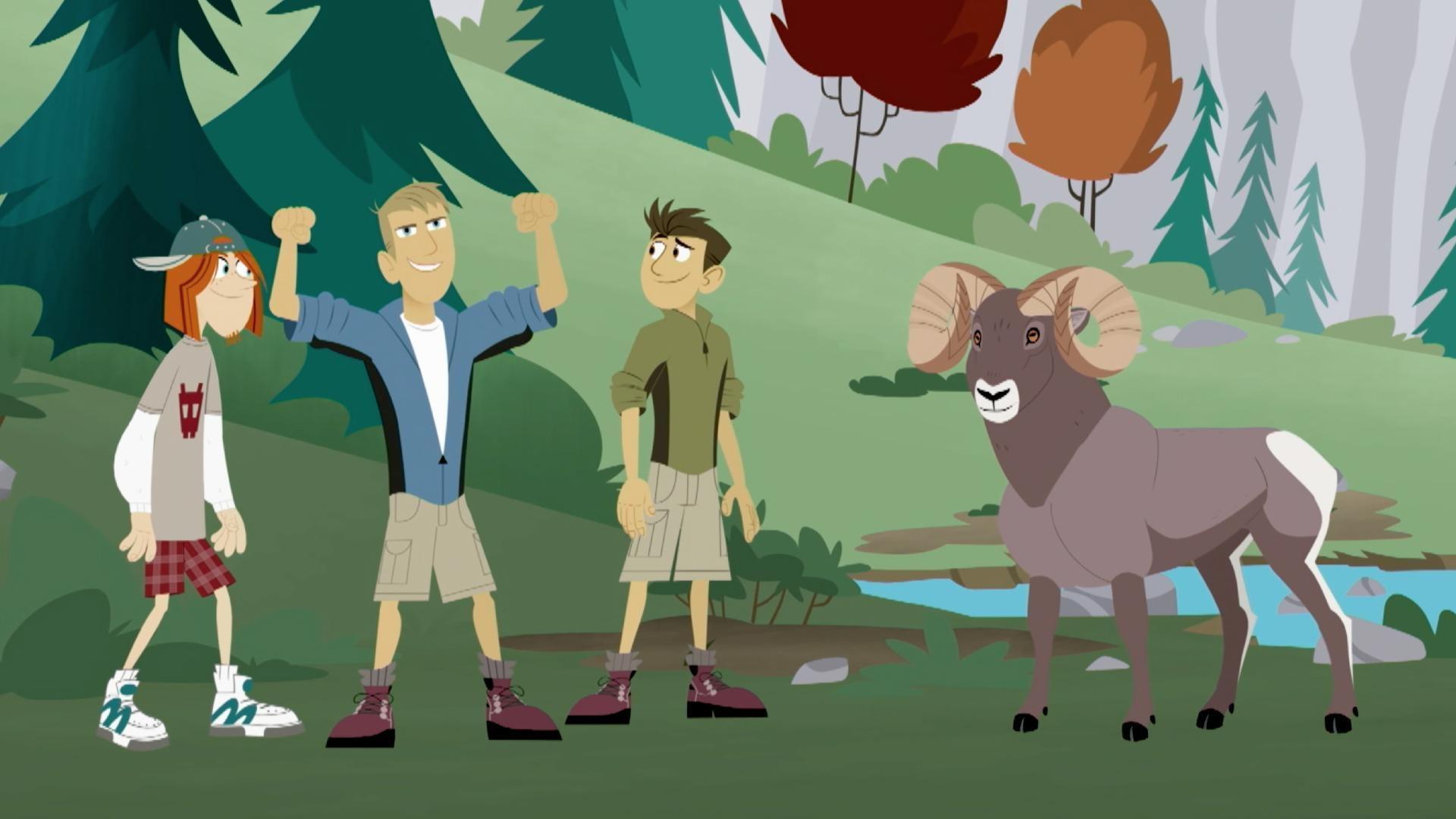 Chris challenges Paisley Paver to a race to decide the future of Goat Mountain.