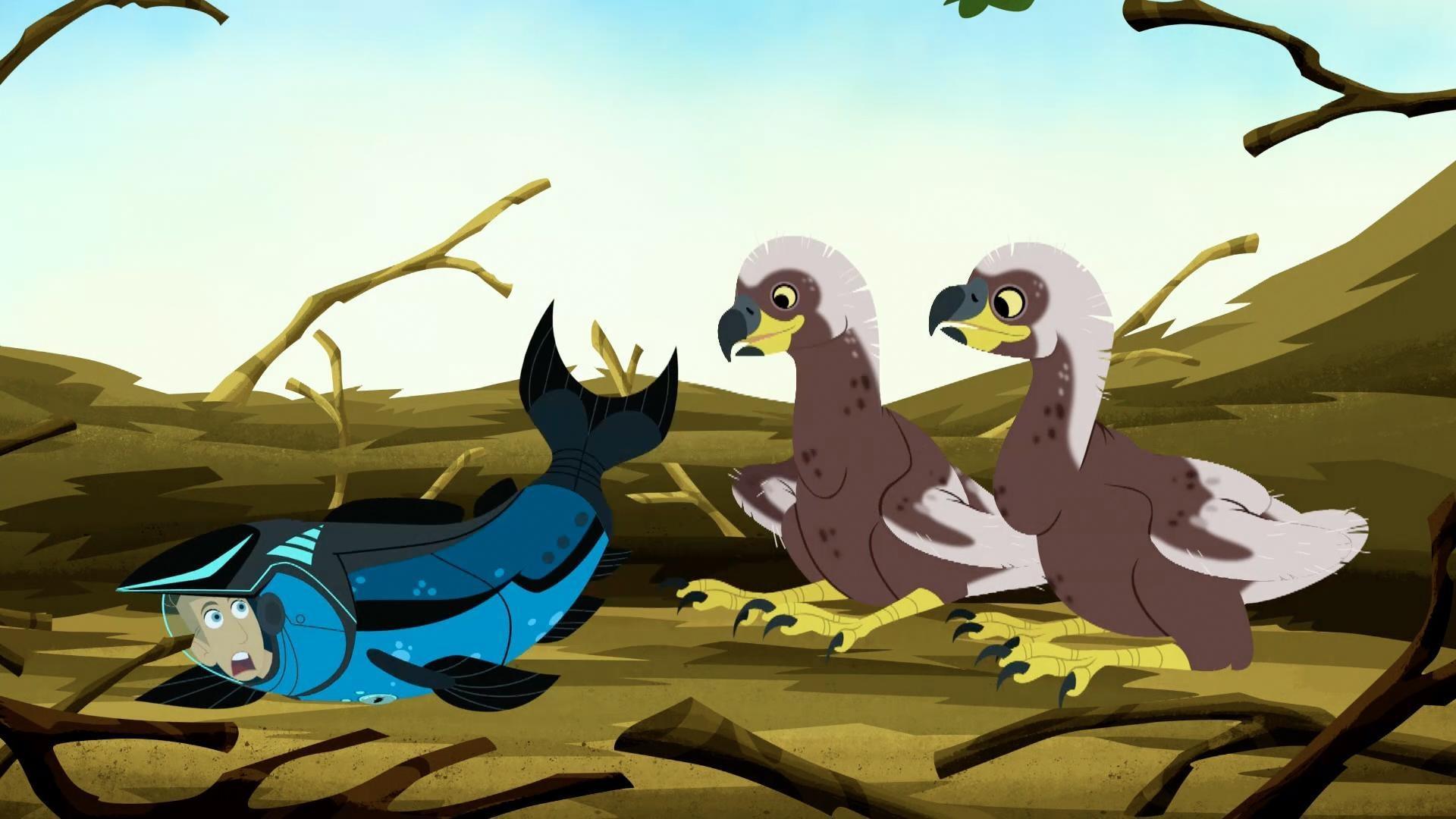 A bald eagle has caught salmon Martin to bring back to the nest for her young.