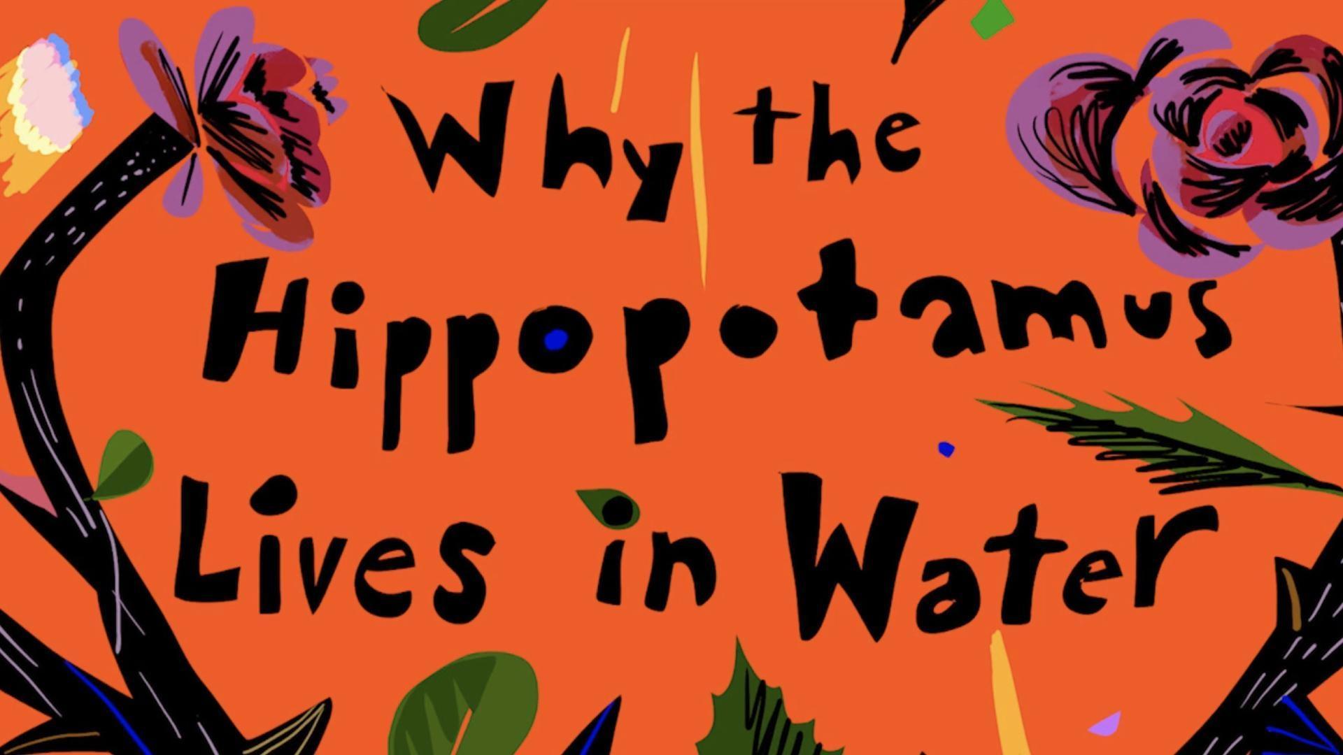 An African folktale about a hippopotamus.
