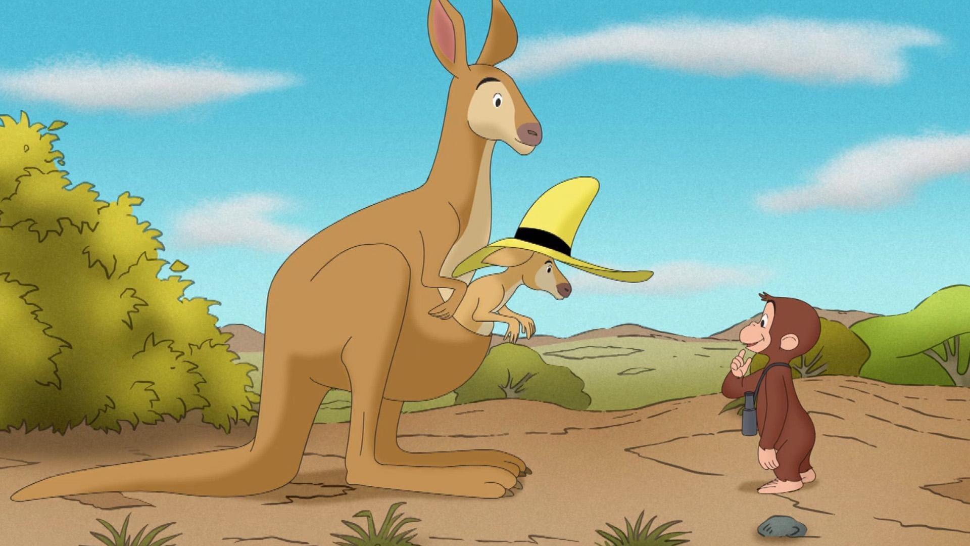 George goes on an Australian adventure. / George, Allie, and Bill search for the Perseids.