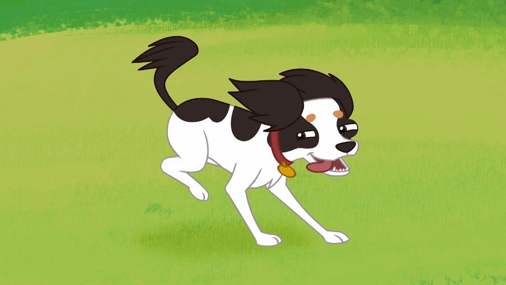 Chacho gets loose at the park.