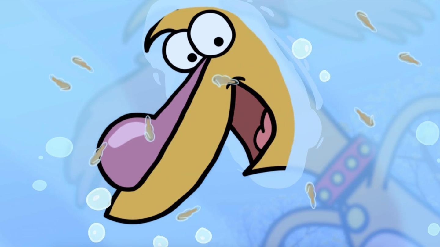 nature-cat-videos-pbs-kids