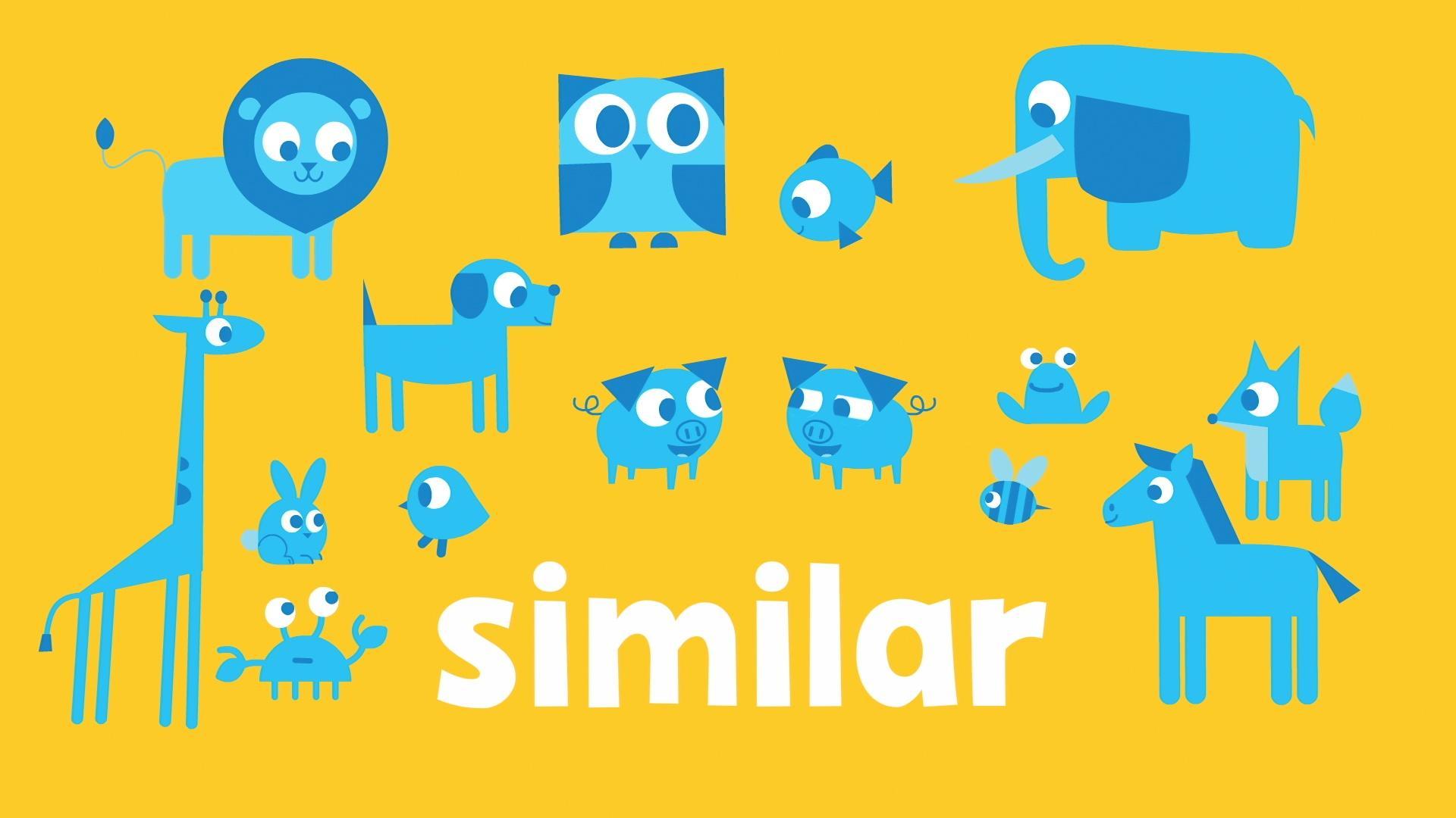 The word of the week is "similar"!
