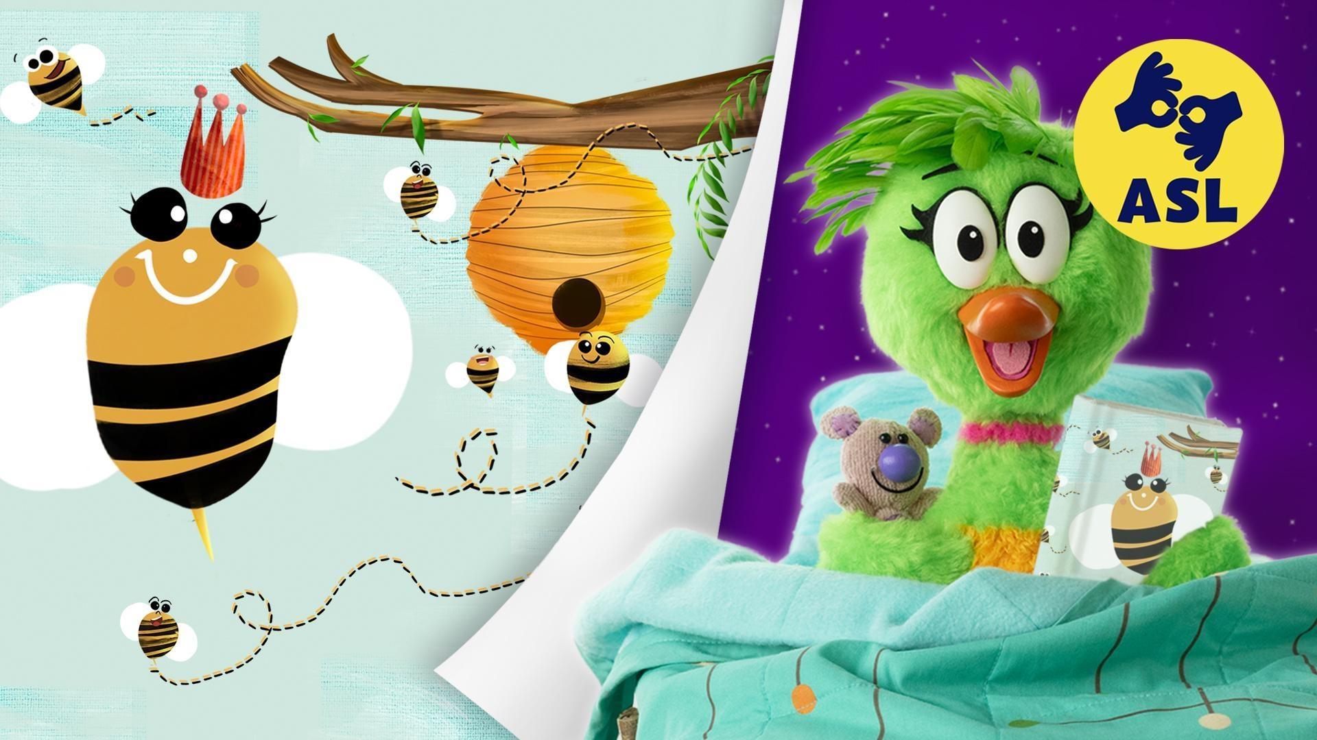 Duck Duck reads a story about many things that happen in nature in one tiny day.