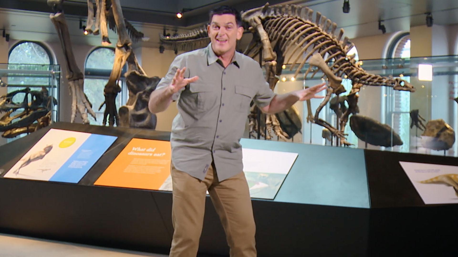 Camptosaurus is a dinosaur that walks on their tip toes!